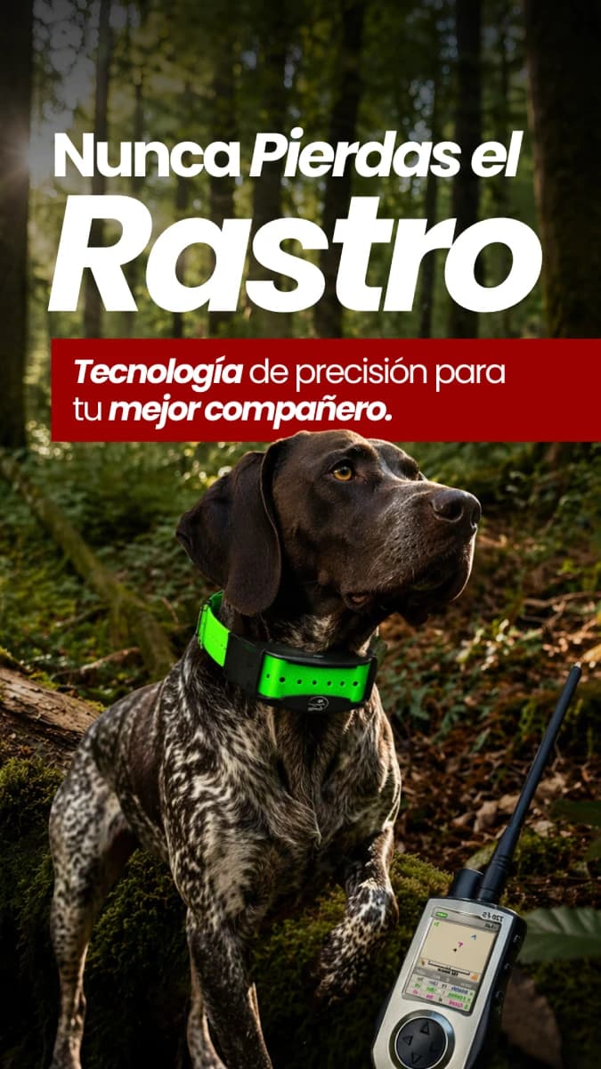 Electrochannel visual 2